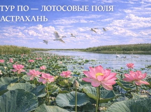 Лотосовая сказка в землях Астраханских, 3 дня авиа + ж/д путешествие на катерах к лотосовым полям в дельте Волги, Астрахань, столица Золотой Орды Сарай-Бату, закат на бархане «Большой брат»,