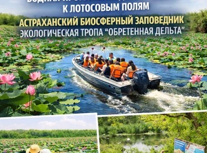Астраханское чудо, 3 дня + ж/д или авиа  водная прогулка по Дельте Волги к лотосовым полям, Астраханский биосферный заповедник, экологическая тропа 